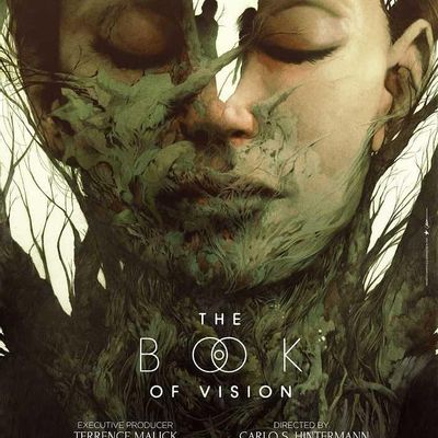 幻觉之书The Book of Vision