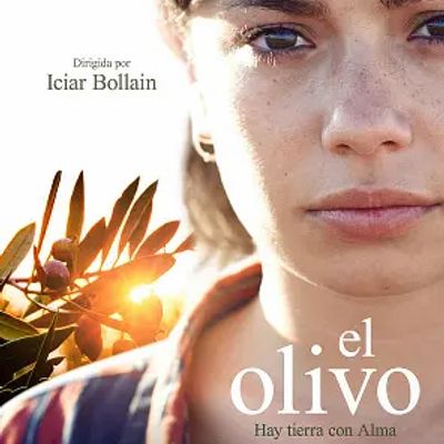 橄榄树 El olivo (2016)