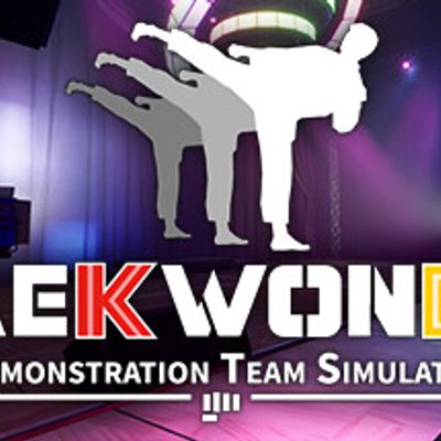 跆拳道虚拟示范团Taekwondo Demonstration Team Simulator
